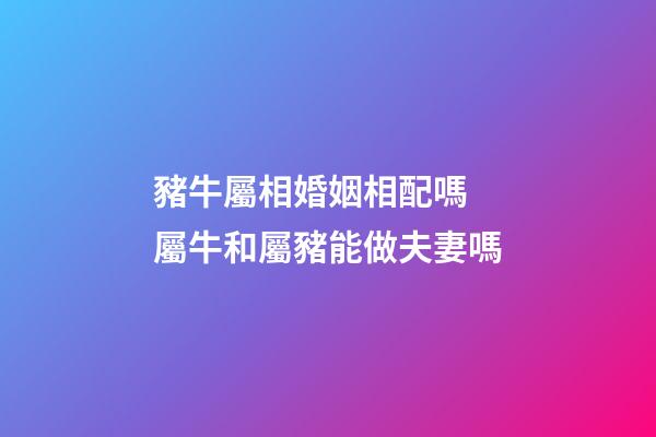 豬牛屬相婚姻相配嗎 屬牛和屬豬能做夫妻嗎-第1張-觀點-玄機派